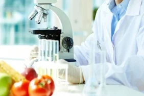 whatsapp-image-2025-05-23-at-190717-2