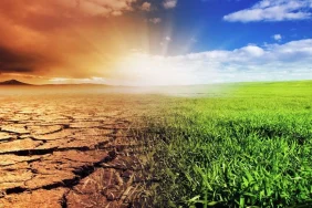 1749112605040koronavirus-bizi-sarsti--ancak-iklim-degisikligi-sonumuz-olabilir_971x551_1606831503