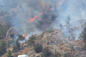 17503202383121750260221199ORMAN YANGINI YENİ1 (3)