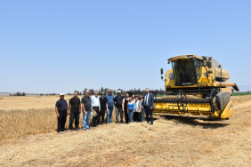 1751023516762REŞATBEY ARPASI5