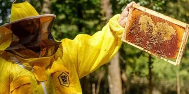 db0pftCkNUCLP3miOEuaLA