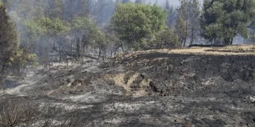 v2yeniproje-2025-06-29t184220891_1751211786