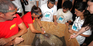 1753791708788DAÜ CARETTA CARETTA (2)