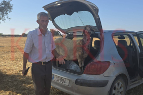 WhatsApp Image 2025-07-02 at 19.54.35