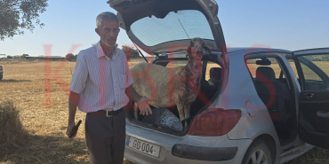 WhatsApp Image 2025-07-02 at 19.54.35