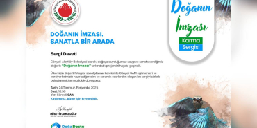 Yeni Proje (7)