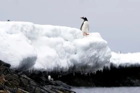 if4r4l411UCjMKaWOGxUag