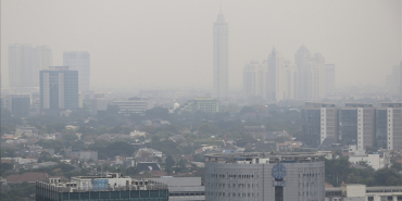 thumbs_b_c_5cce3d8e55cb608f2e64b72540494398