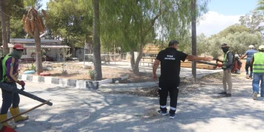 538432810-1244008434433134-6254243002068109937-n