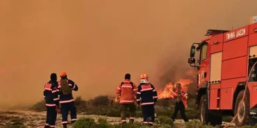 pirkagia-tmima-daswn