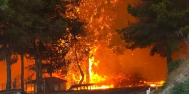 whatsapp-image-2025-07-23-at-231257