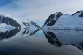 TeyXbH_-K0GN1x38KSUBag