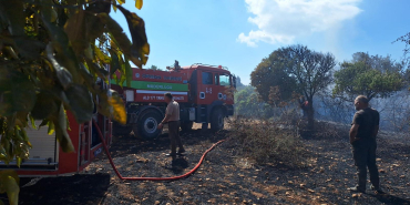 557974644_1426196715756401_7767876572991004578_n