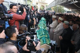 68f7a52c8ccb6490__w1200xh800