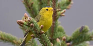 bp_lIu1laUqfZcmQqlbK9Q