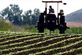 thumbs_b_c_d343ae6a7a70ade73834f44acd3e8174