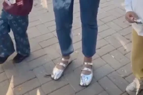 690b3bc872a97497__w1200xh804