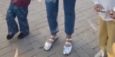 690b3bc872a97497__w1200xh804