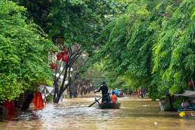 thumbs_b_c_66b42bcabfc44fbd6d0209d1205c01f8