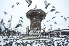 thumbs_b_c_783d80a7f9800bc2dc54b1024eb05ea1