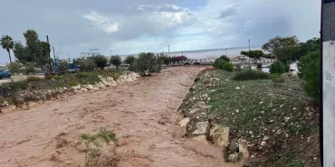 polis-large_thumbnail