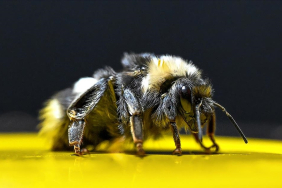 1768376076001thumbs_b_c_bd4f42b4656a307b9426174fb110104c