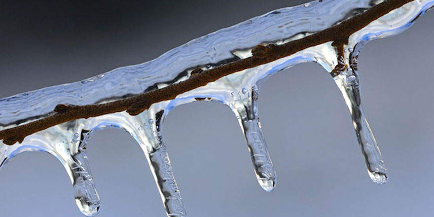 Bugün ve yarın don bekleniyor