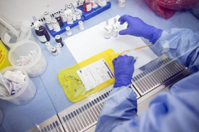 thumbs_b_c_2accc24b262f49886ceb19a2dc919b82