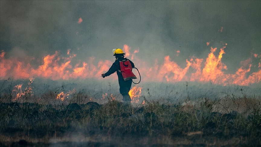 Arjantin’in Patagonya bölgesindeki orman yangınlarında yaklaşık 12 bin hektarlık alan kül oldu