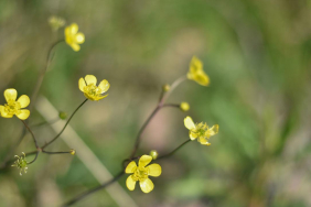 bahar-cemre-depo-photos-2440051