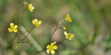 bahar-cemre-depo-photos-2440051