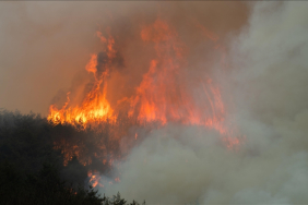 thumbs_b_c_0b2aded2b1921c156356be2ee5035e20