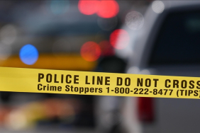 thumbs_b_c_d75bf4d1d93192942799db2dab77e702