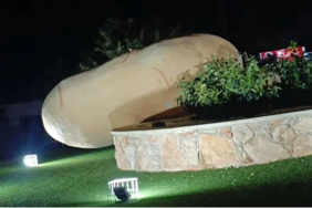 1773663365326patates