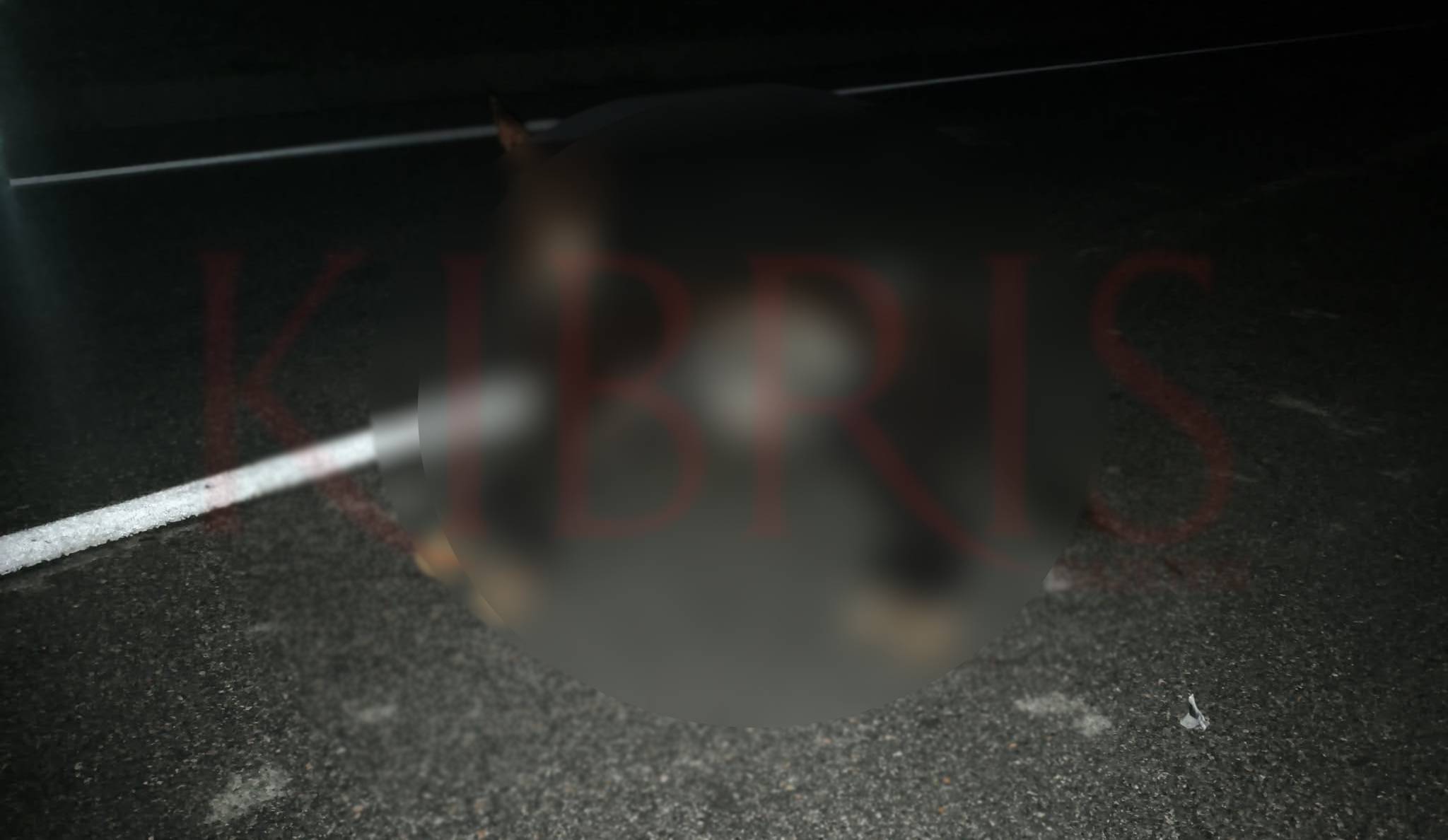 Yenierenköy-Dipkarpaz anayolunda gece karanlığında yola çıkan eşek kazaya neden oldu!