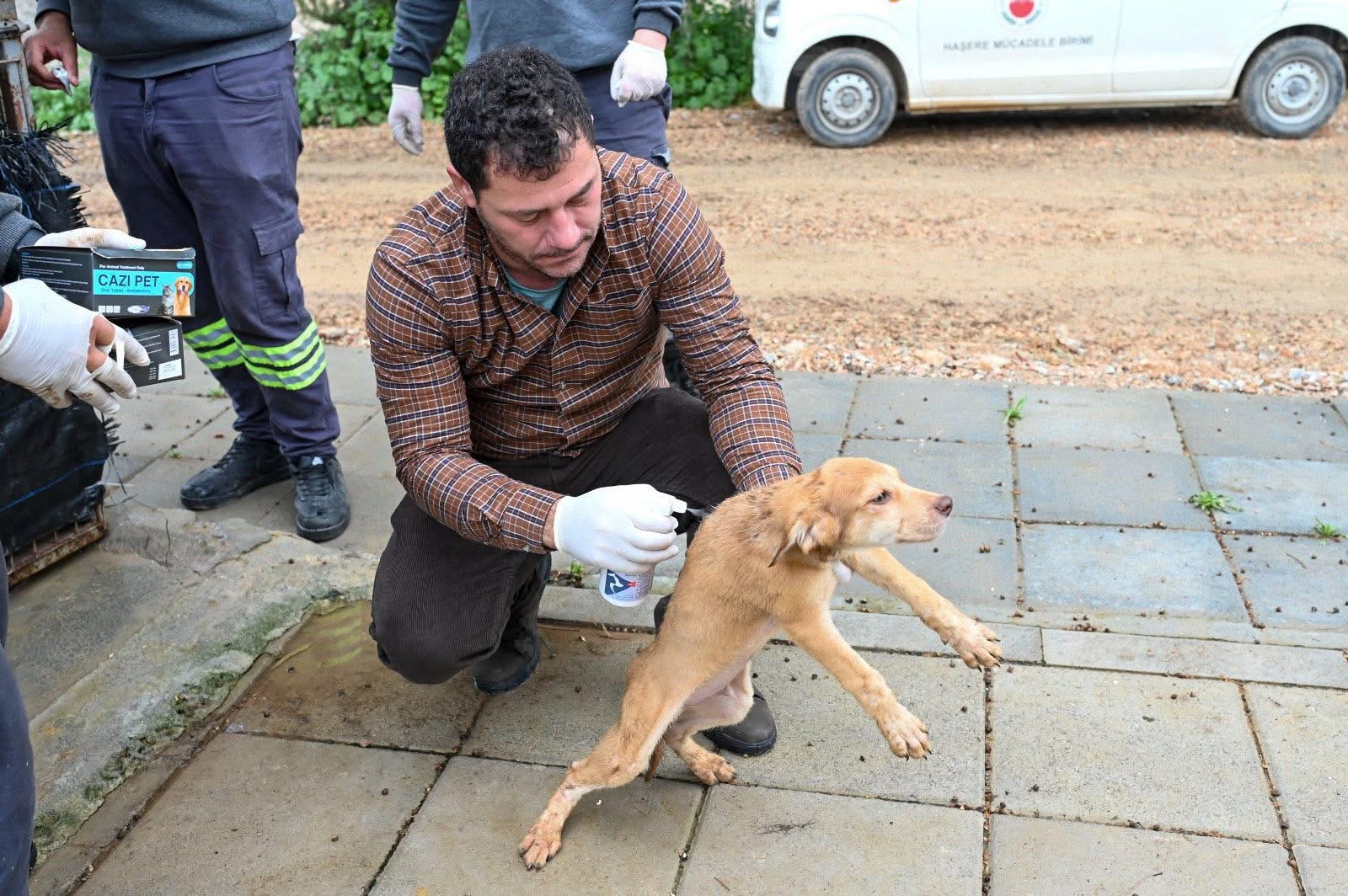 Gönyeli–Alayköy Belediyesi hayvan barınağında 104 canlıya ev sahipliği yapılıyor…