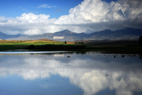 1775382545629YAĞMUR-ERO