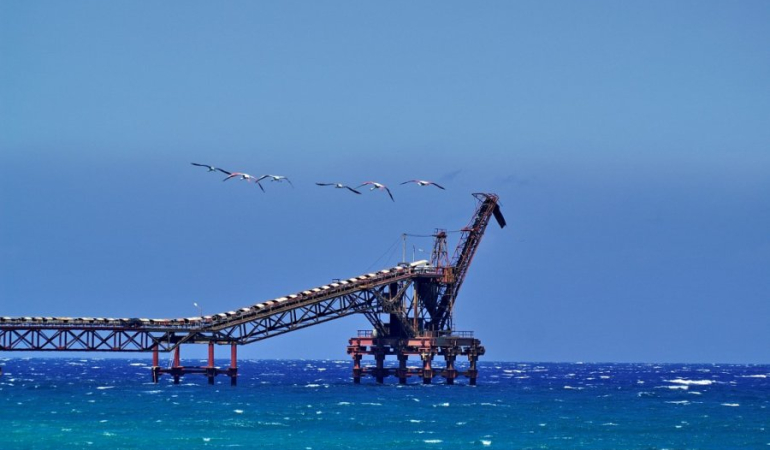 1776837272083LEFKE ÇEVRE VE EKOLOJİ