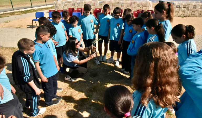 17774486016683c8dc6f5-d89d-41f9-873a-3b22b846e65a