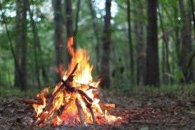 19422MaH4W6Ba_yalova-orman-ates-yasak