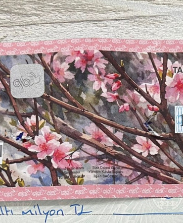 677252090_1432541675581405_4472240514574594971_n