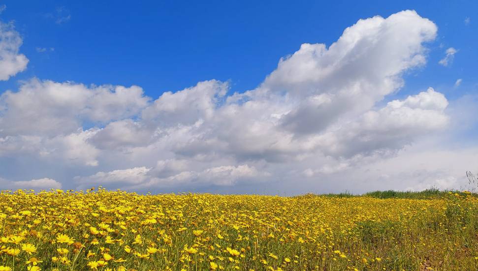 Hava sıcaklığı yükselecek, Pazar’a kadar yağmur yok