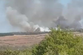 beykoz-yangindha-2456476