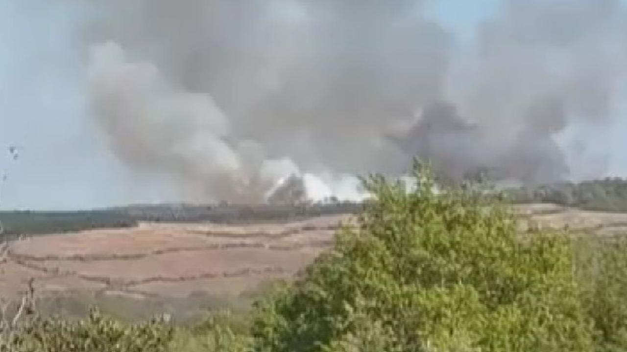 İstanbul’da ormanlık alanda yangın