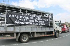 pasted_image-large_thumbnail