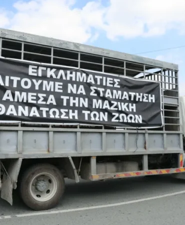 pasted_image-large_thumbnail