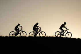 thumbs_b_c_0ecaf2f4d91c01b5e5a2eb25d35fce2a