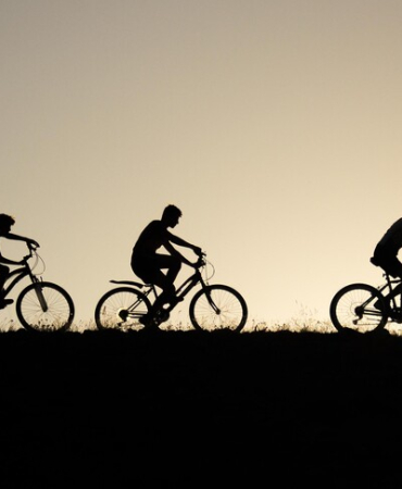 thumbs_b_c_0ecaf2f4d91c01b5e5a2eb25d35fce2a