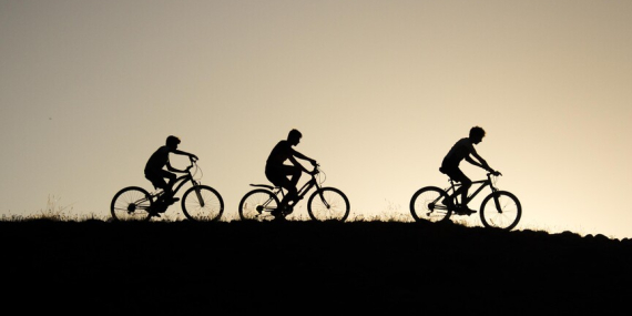 thumbs_b_c_0ecaf2f4d91c01b5e5a2eb25d35fce2a