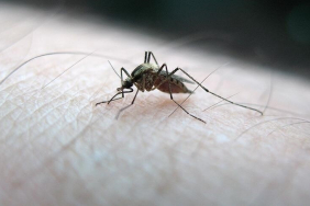 thumbs_b_c_892447fb3b8dca678b23209fb8fda9c4